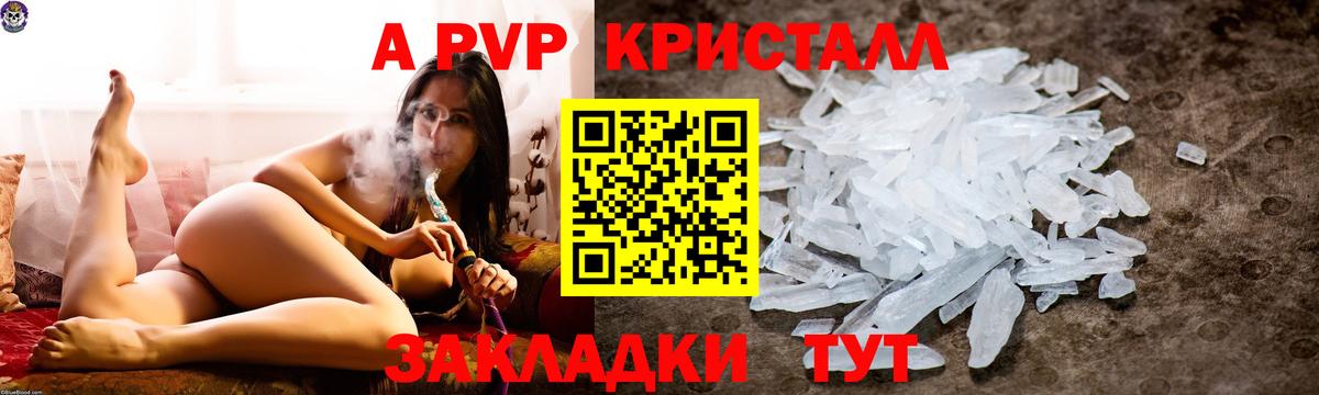 APVP СК Новосибирск