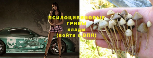 гашиш Новодвинск