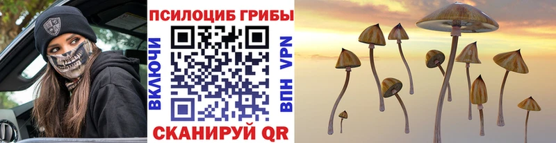 Псилоцибиновые грибы Cubensis Новосибирск