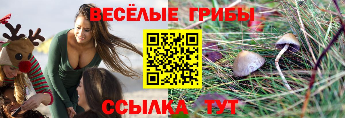 Галлюциногенные грибы ЛСД  Вход с VPN  Новосибирск 